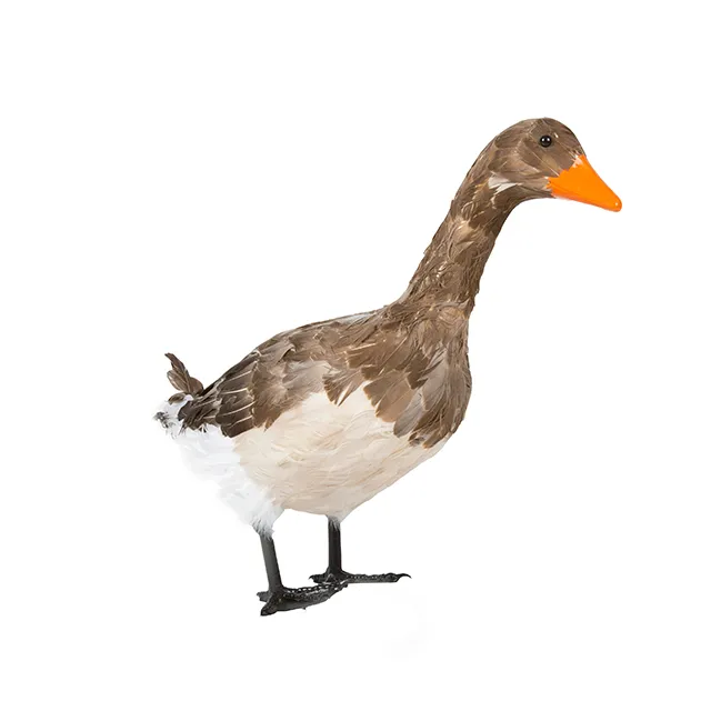 Great Goose