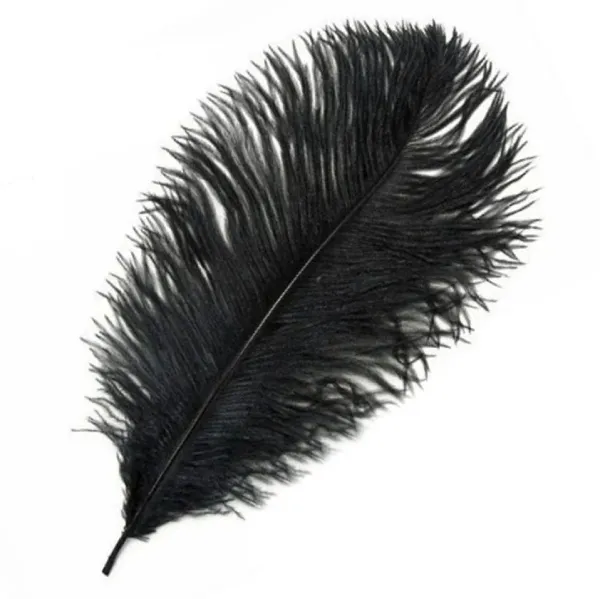Ostrich Black Feathers