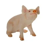 Pig Sitting