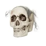 Big skull