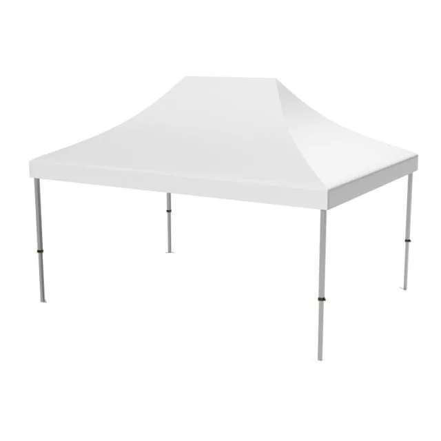 Tent Master 3x4.5m