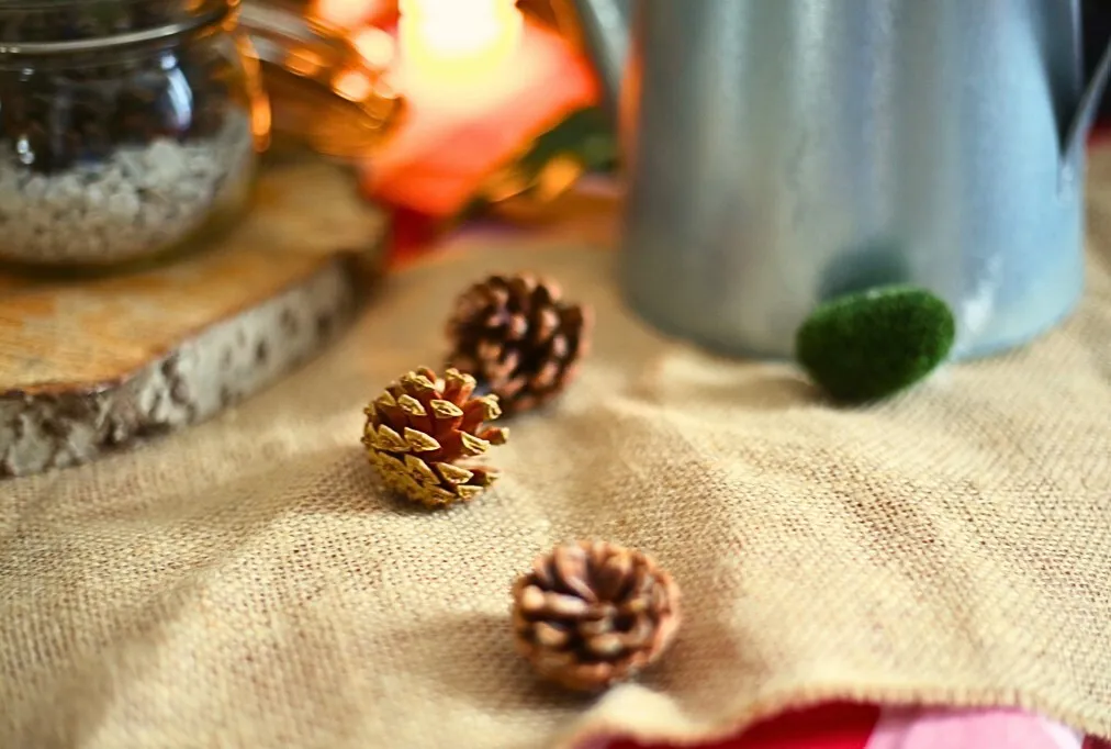 Pinecone - pack of 15
