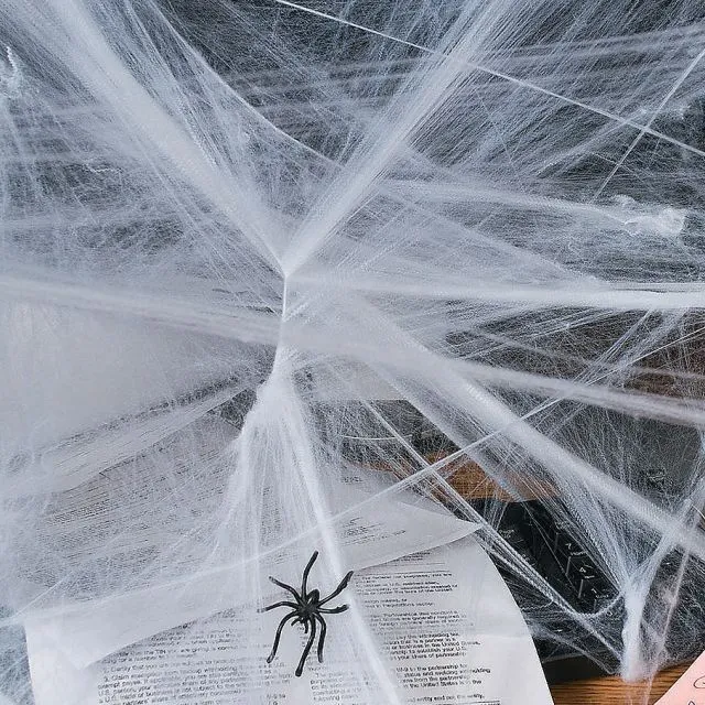 Spider web