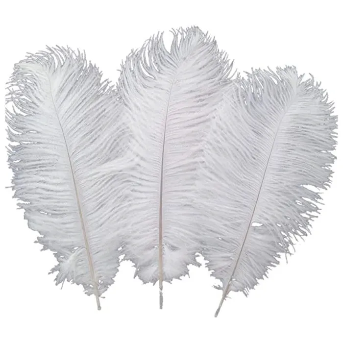Ostrich White Feathers