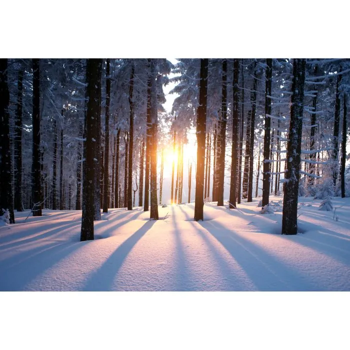 Christmas / Winter - Visual Forest 4x2.1m