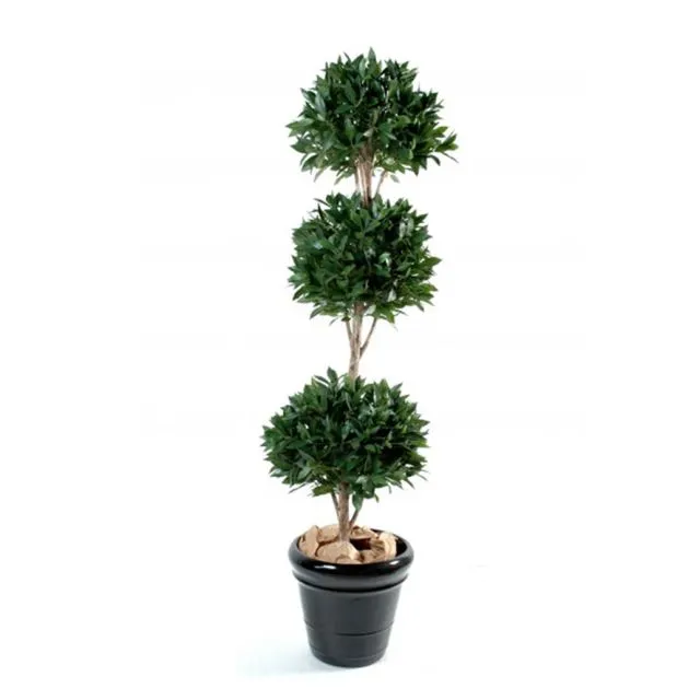 Laurel 3 balls 1.8m