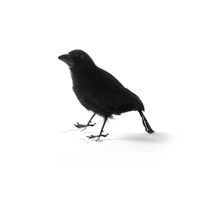 Raven