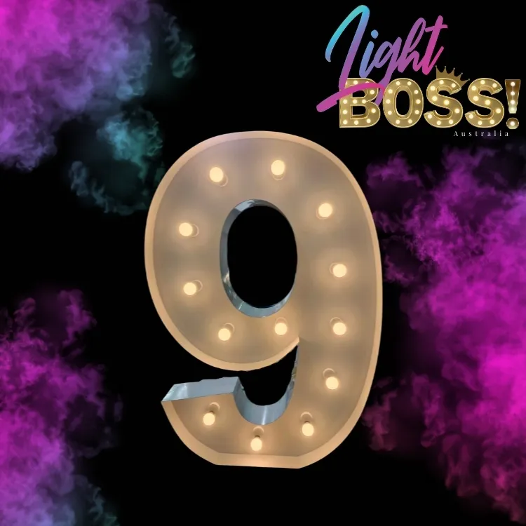 "9" 600mm High LED Light Number