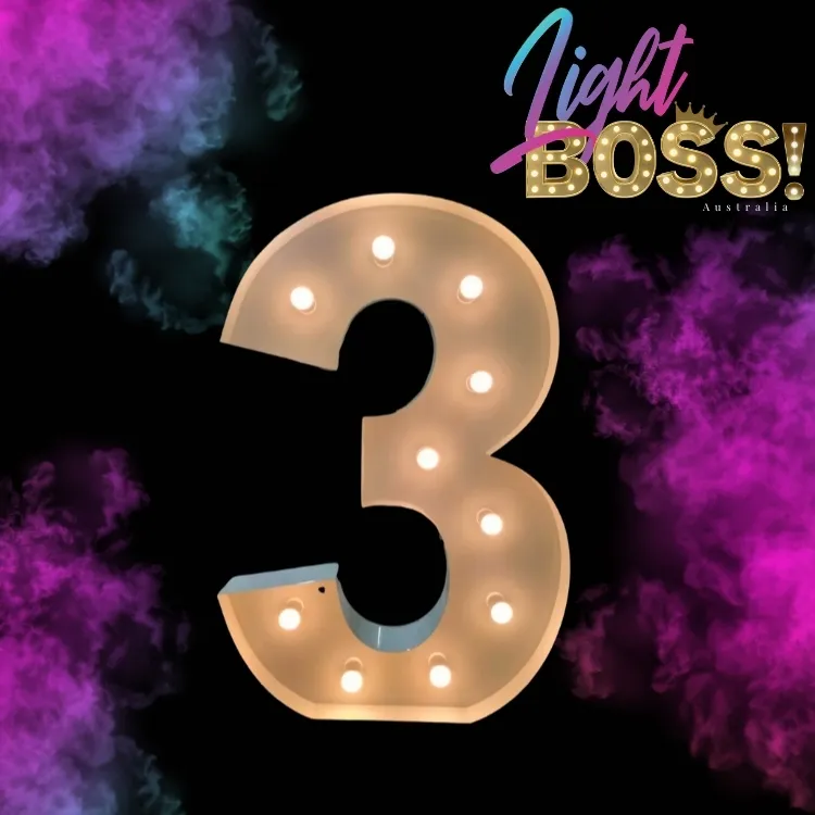 "3" 1.2m High LED Light Number