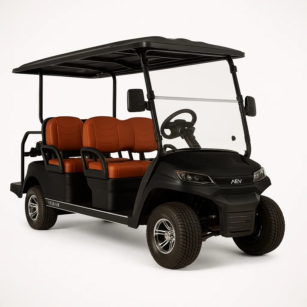 Advanced EV 6-Seater (Black)