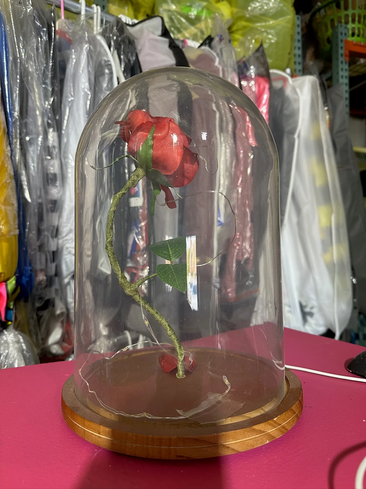 Enchanted Rose