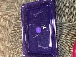 Purple Tray