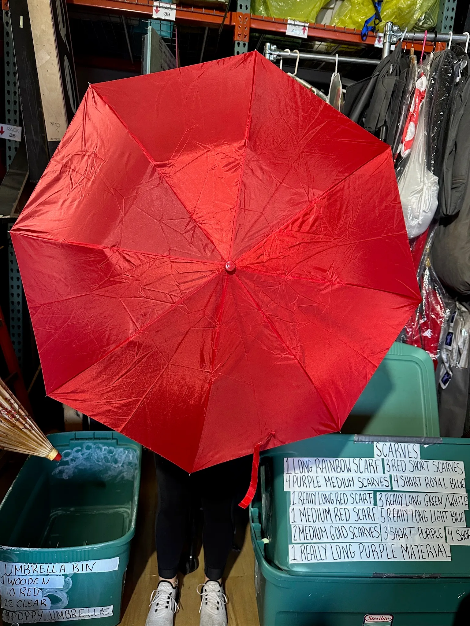 Red Umbrella