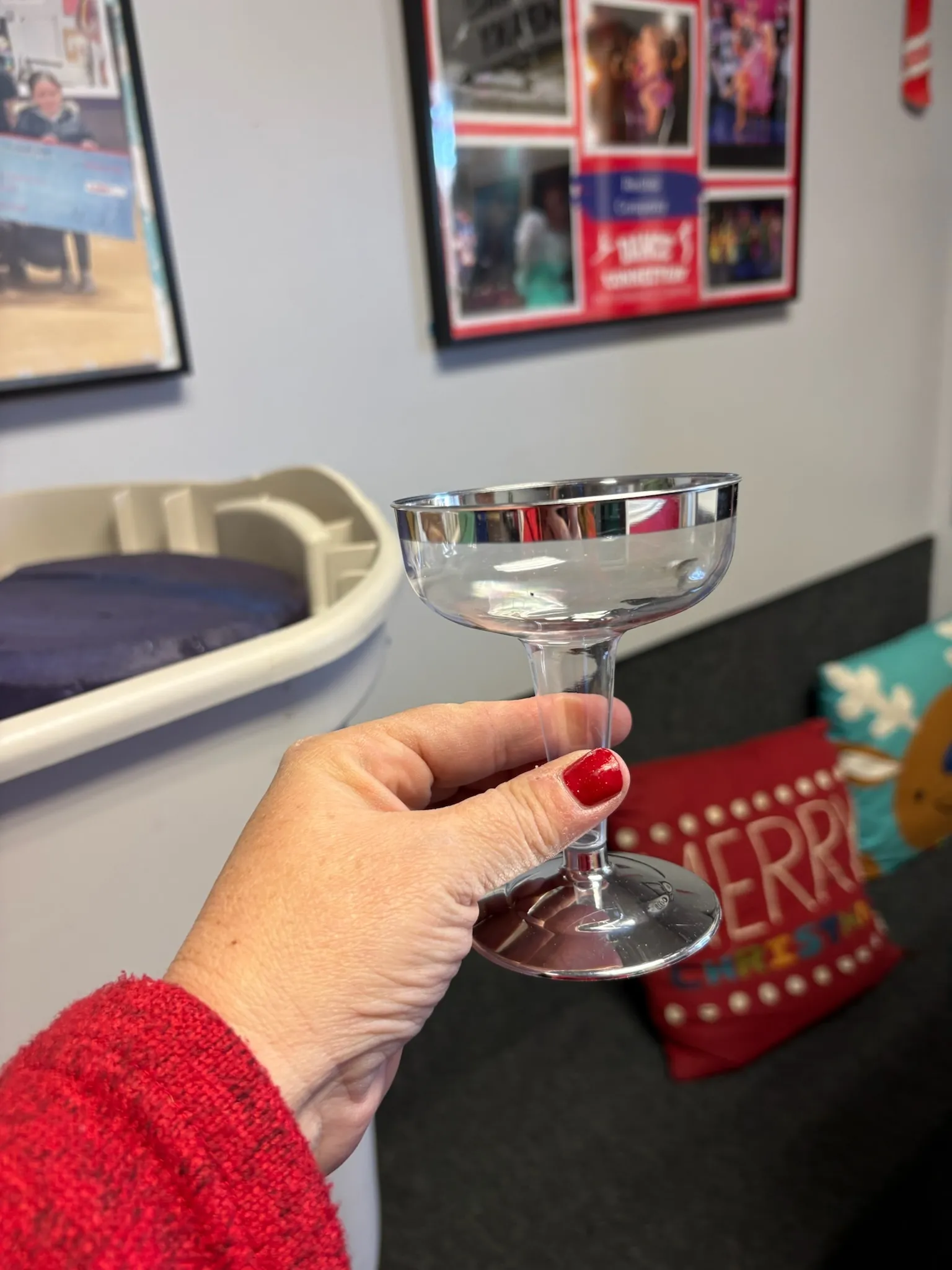 Plastic Champagne Glasses