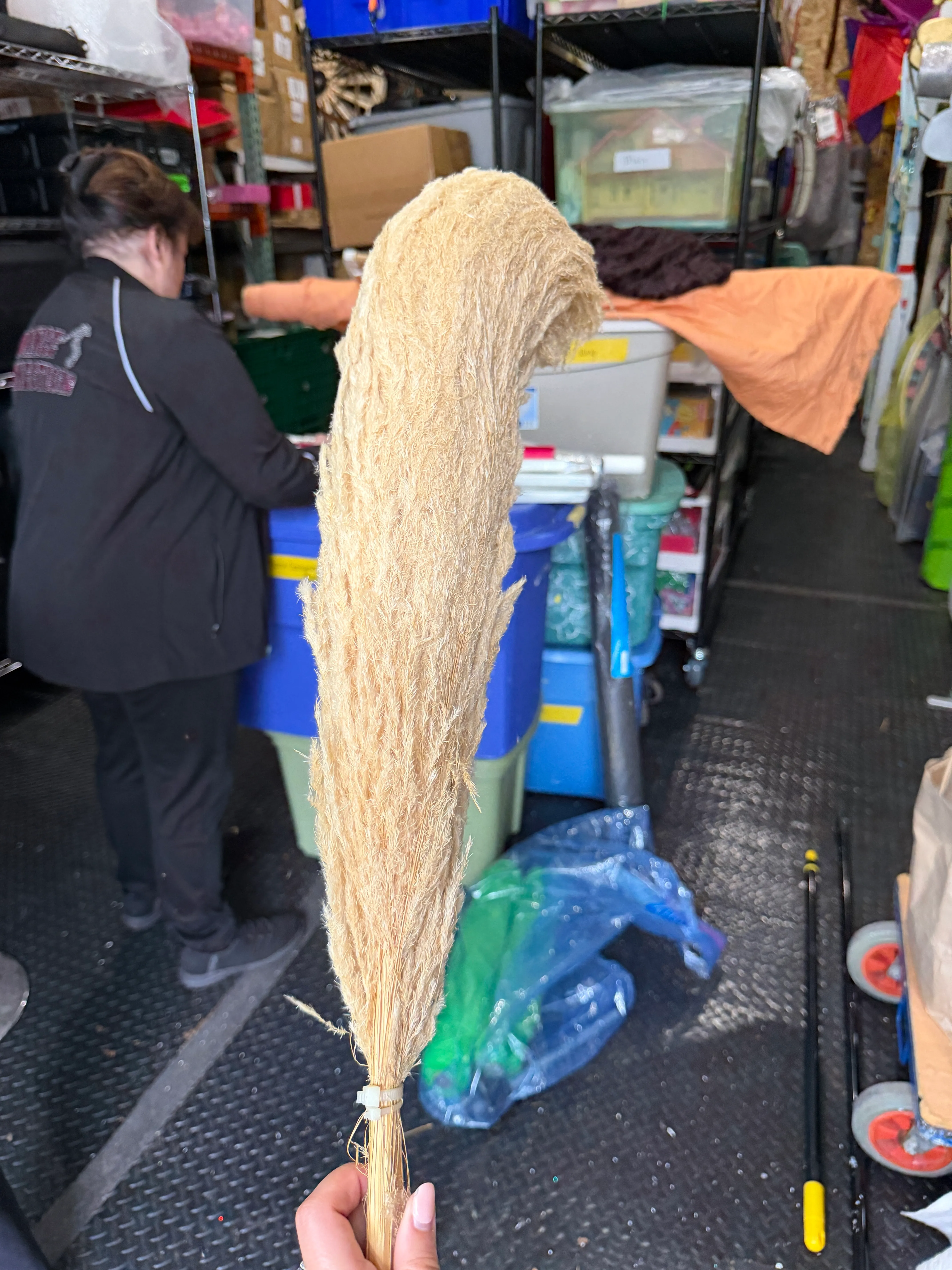 Broomcorn Straw