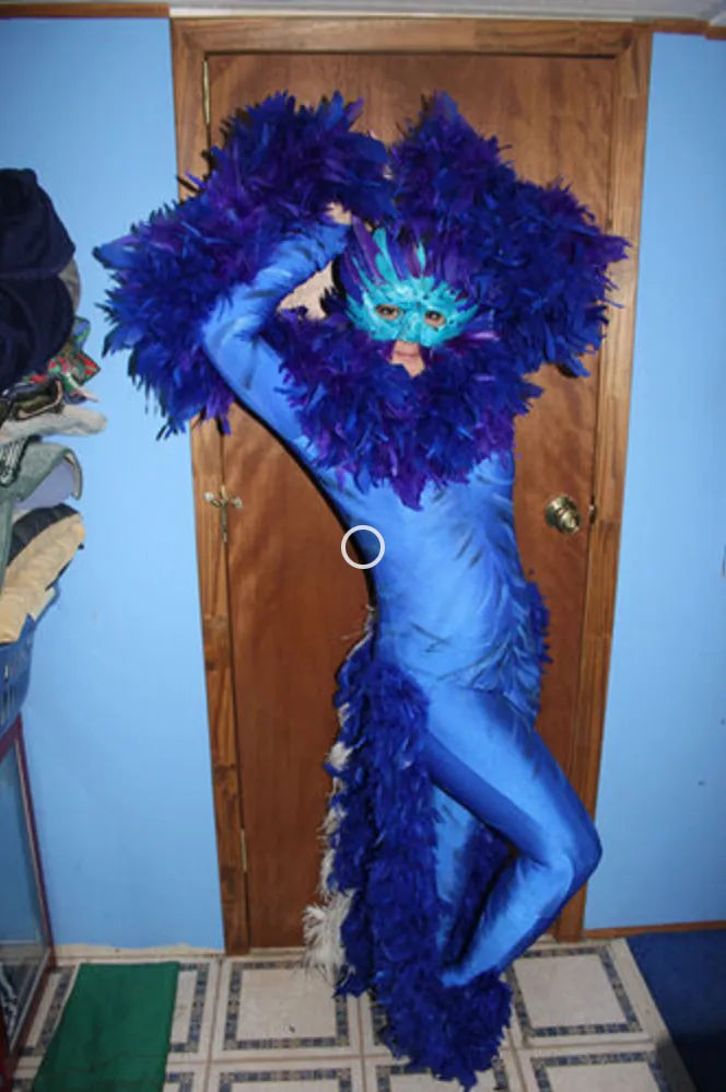 Blue Bird - SA