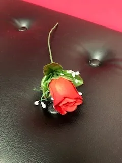 DLG Roses