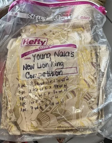 Young Nala's New Lion King