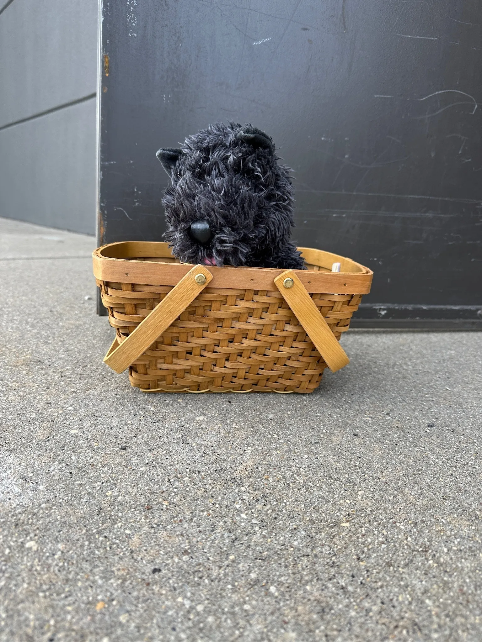Toto Basket