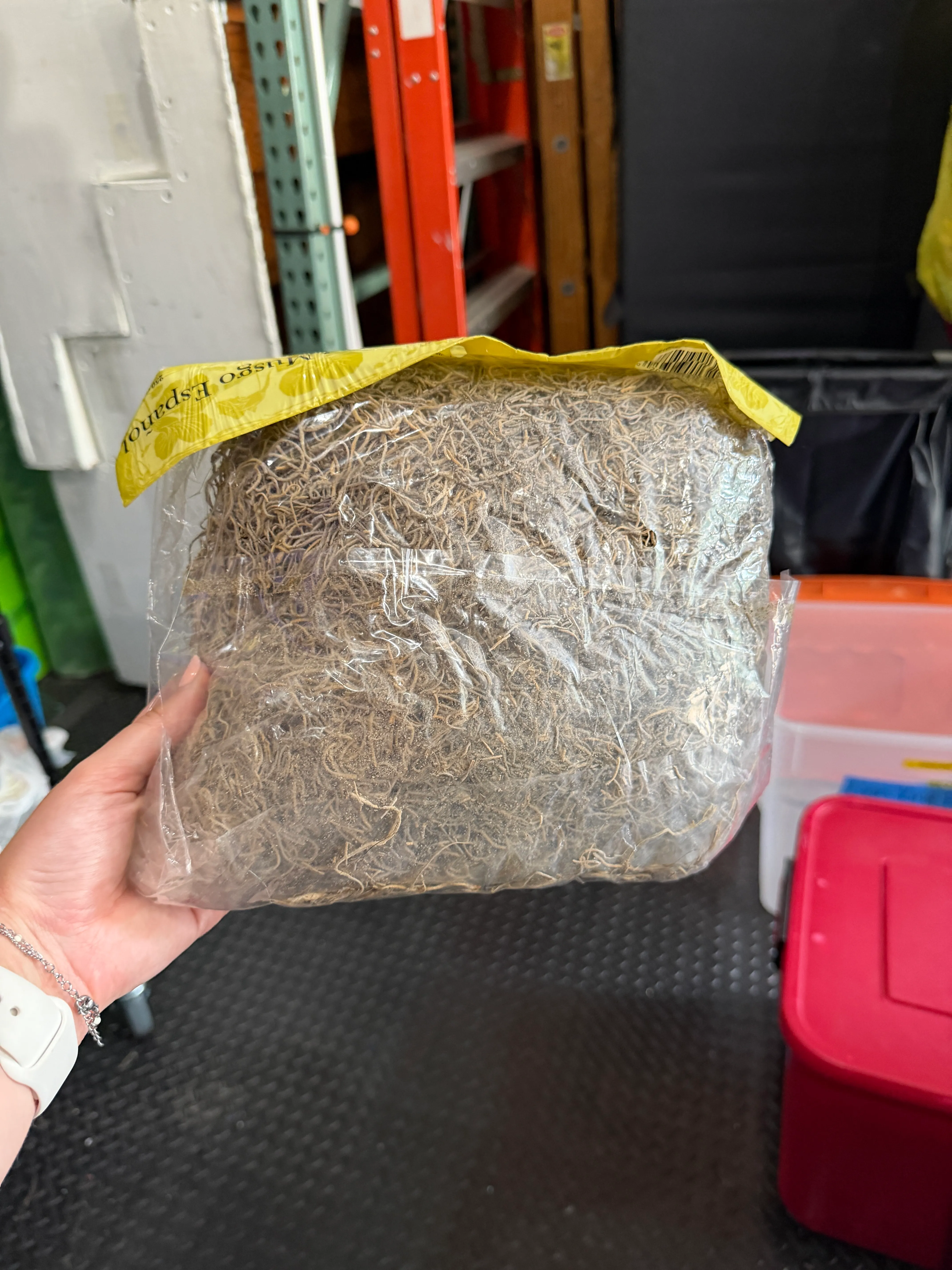 Plant/Fibrous Material