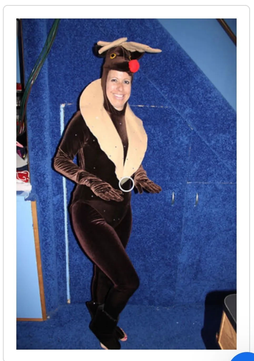 Reindeer - MA