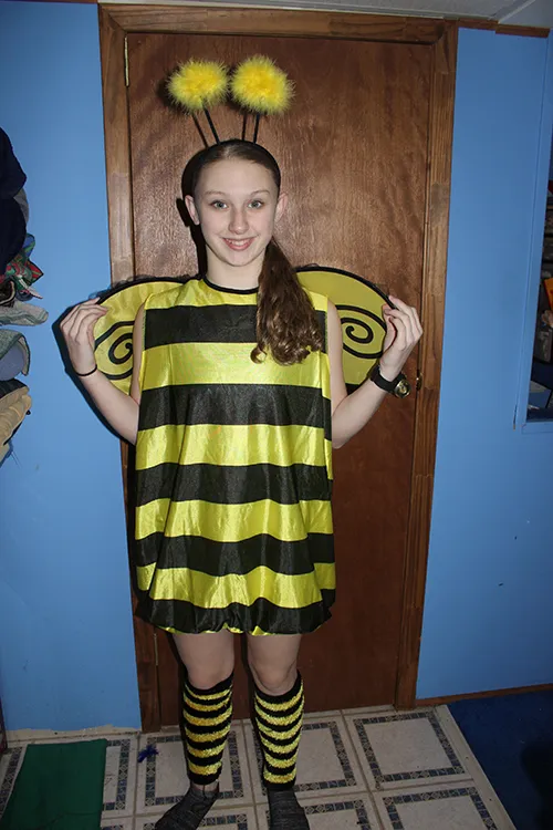 Adult Bumblebee