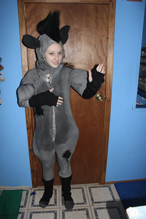 Adult Hyena