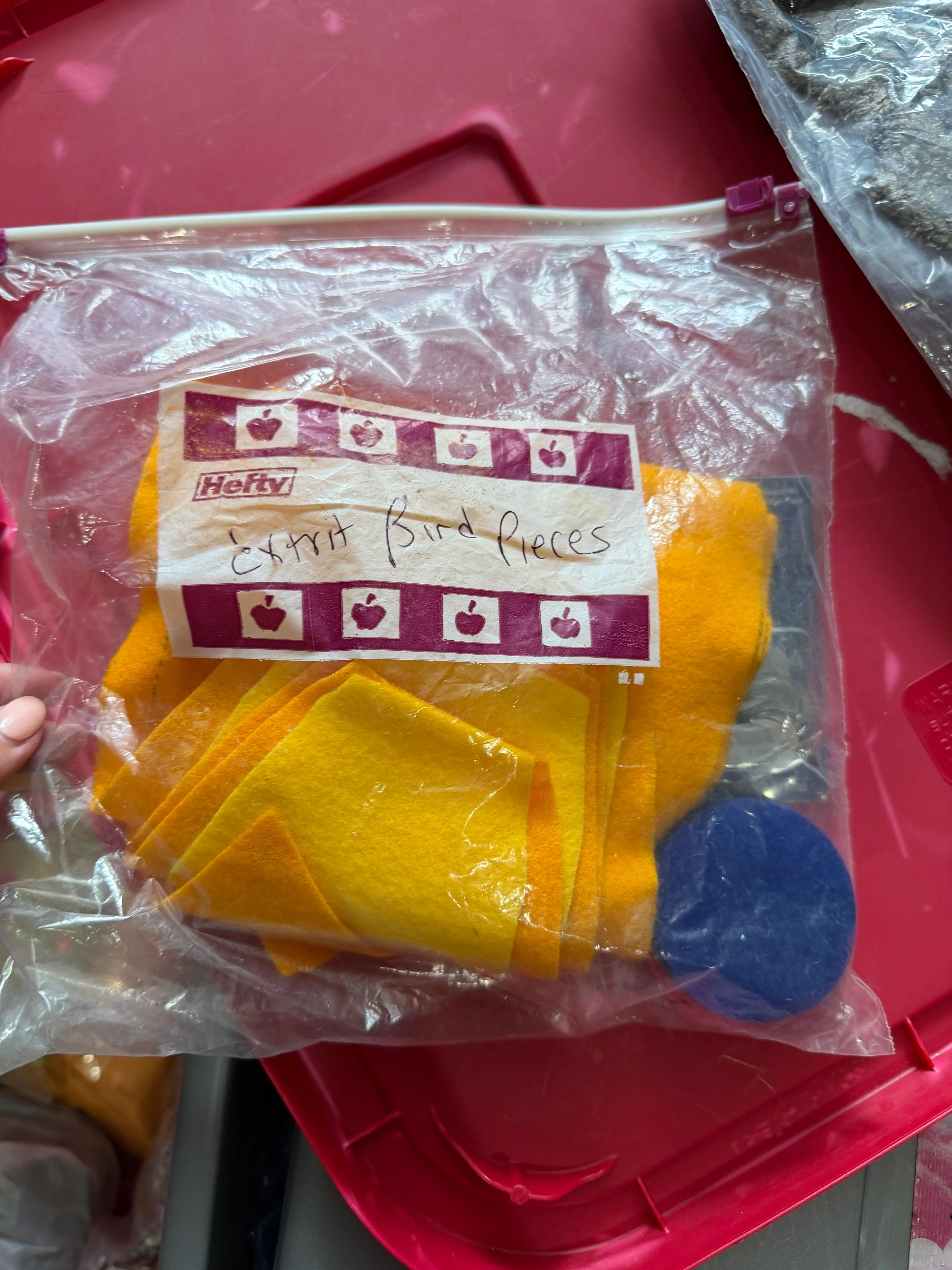 Extra Bird Pieces