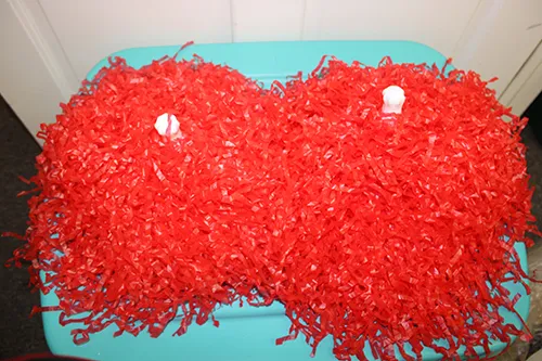 Red Pom Poms