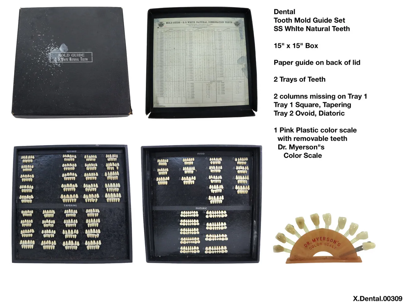 Tooth Mold Guide Set