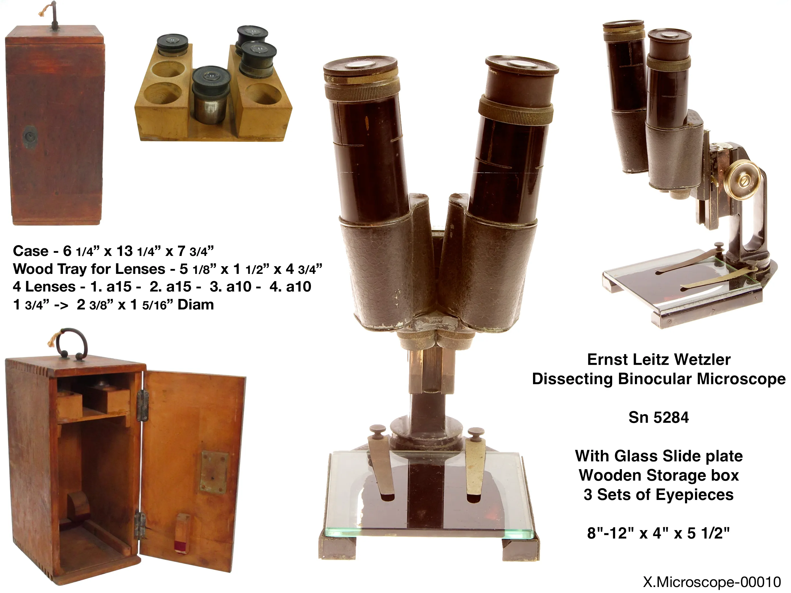 Leitz Binocular Dissecting Microscope 