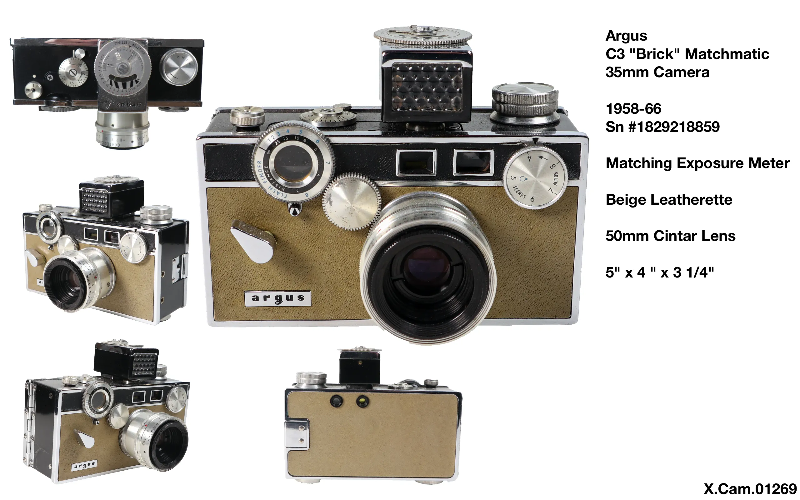 Argus C3 Beige