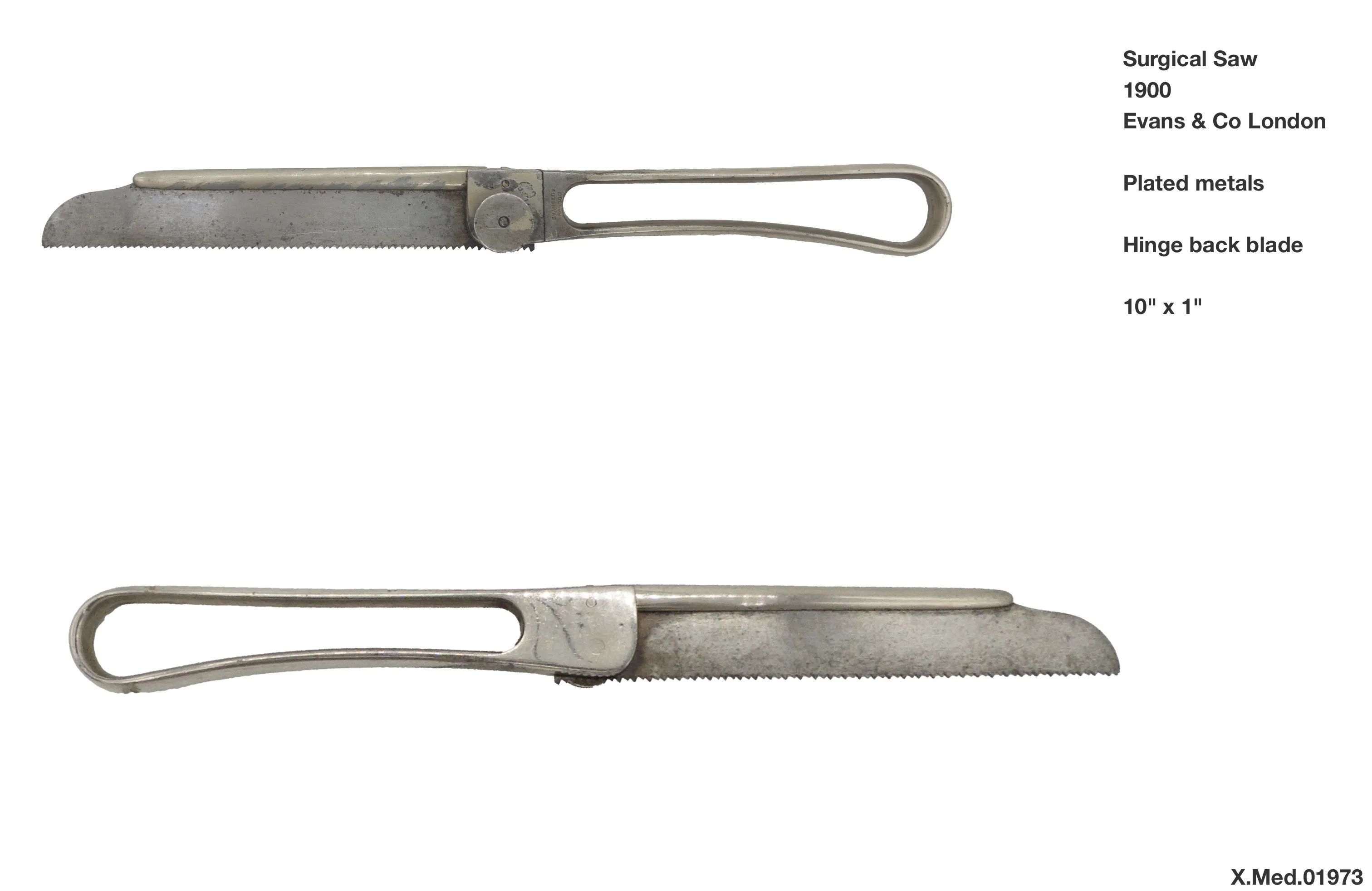Evans Surgical Saw