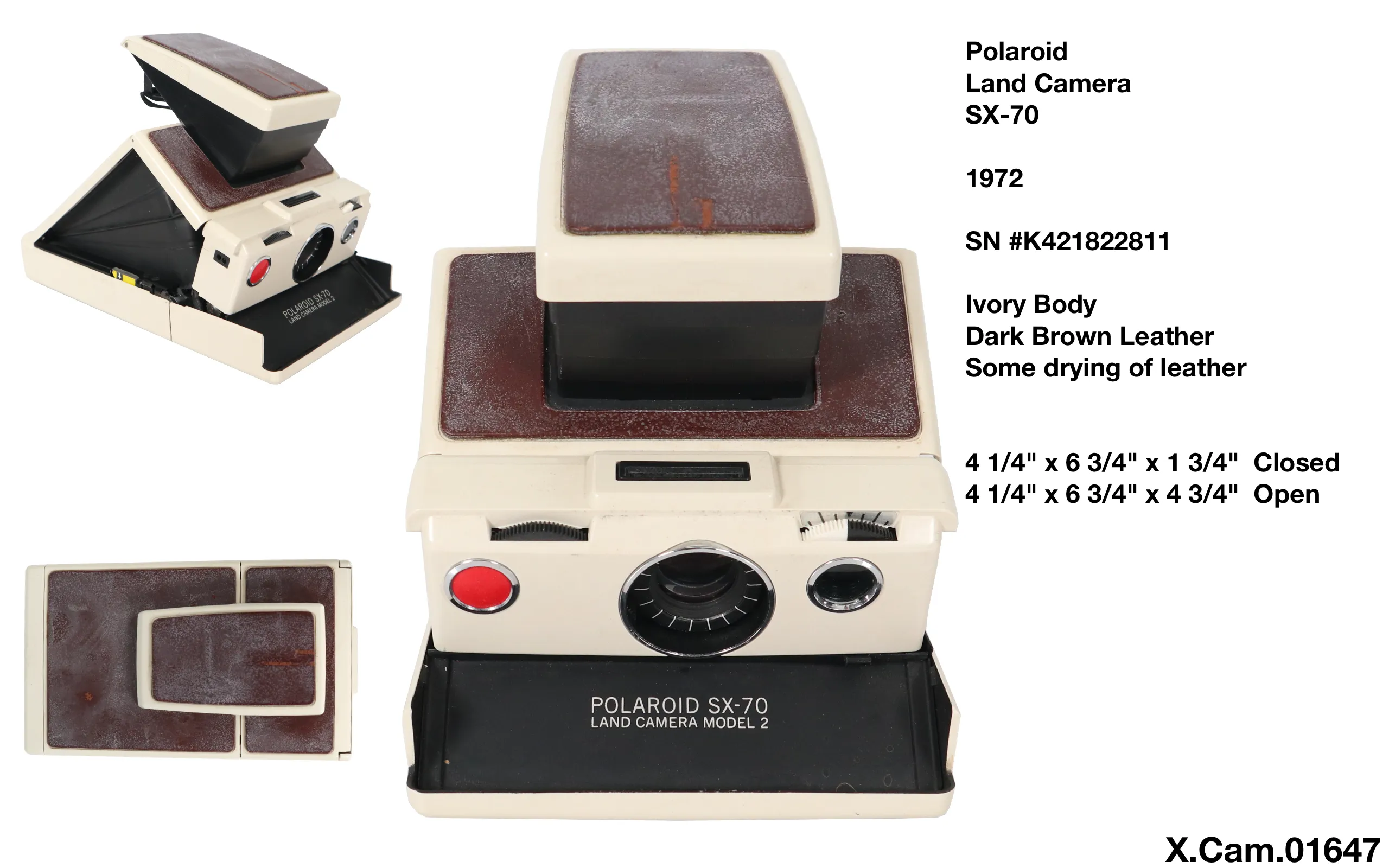 Polaroid SX-70 Ivory & Dark Brown