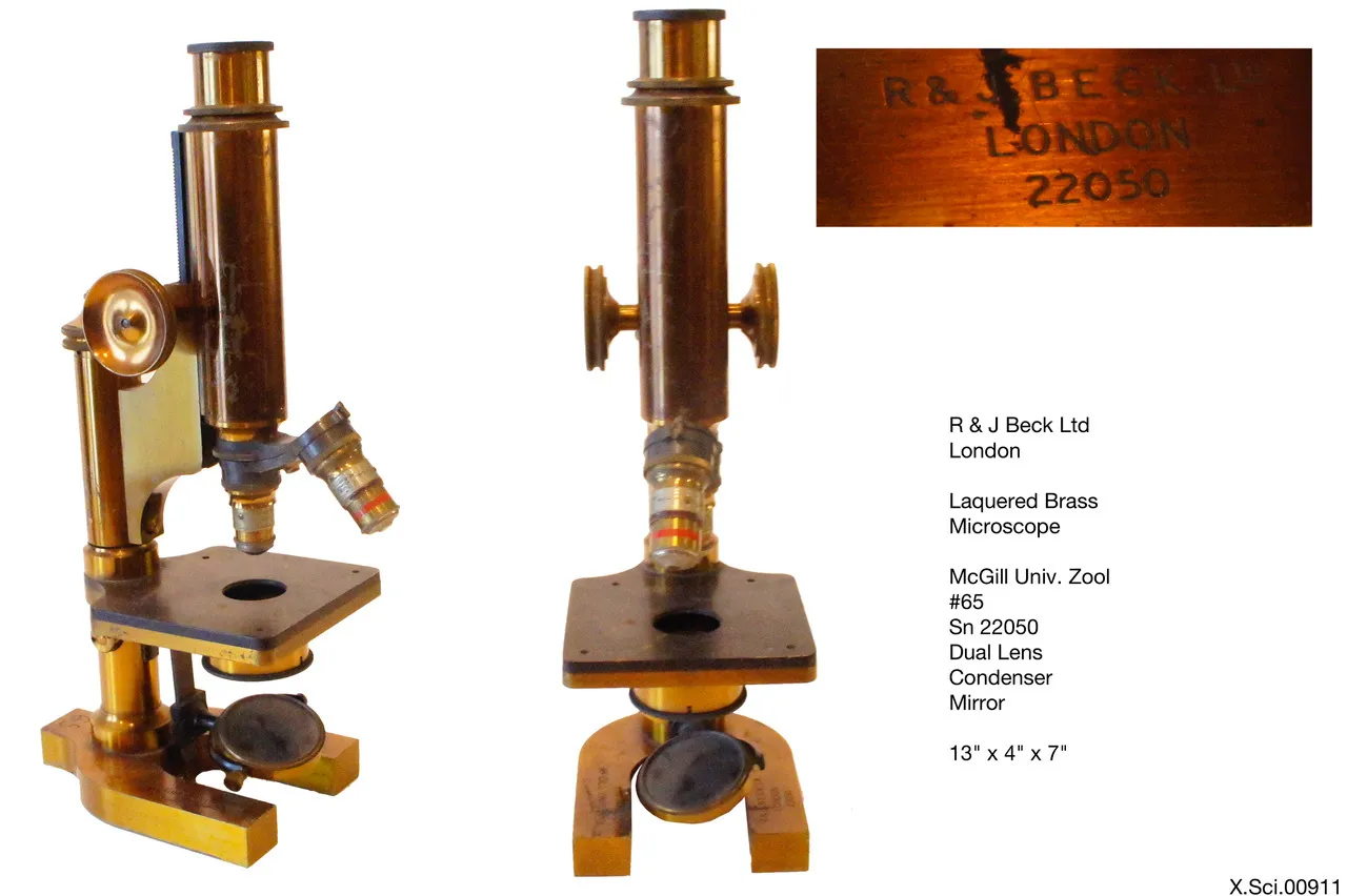R & J Beck Brass Dual lens Microscope