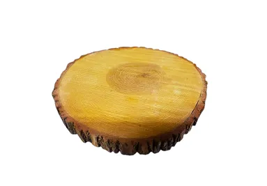 Wood Tree Slice
