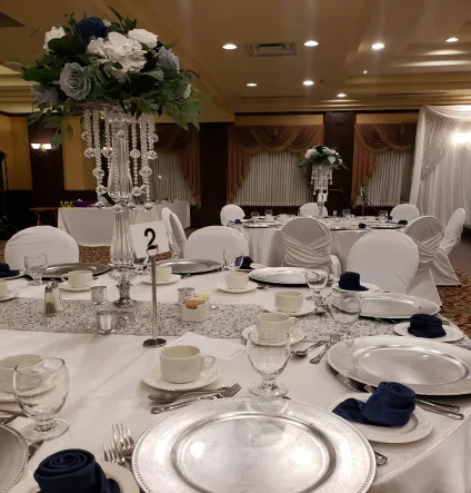 Silver Acrylic Waterfall Stand 