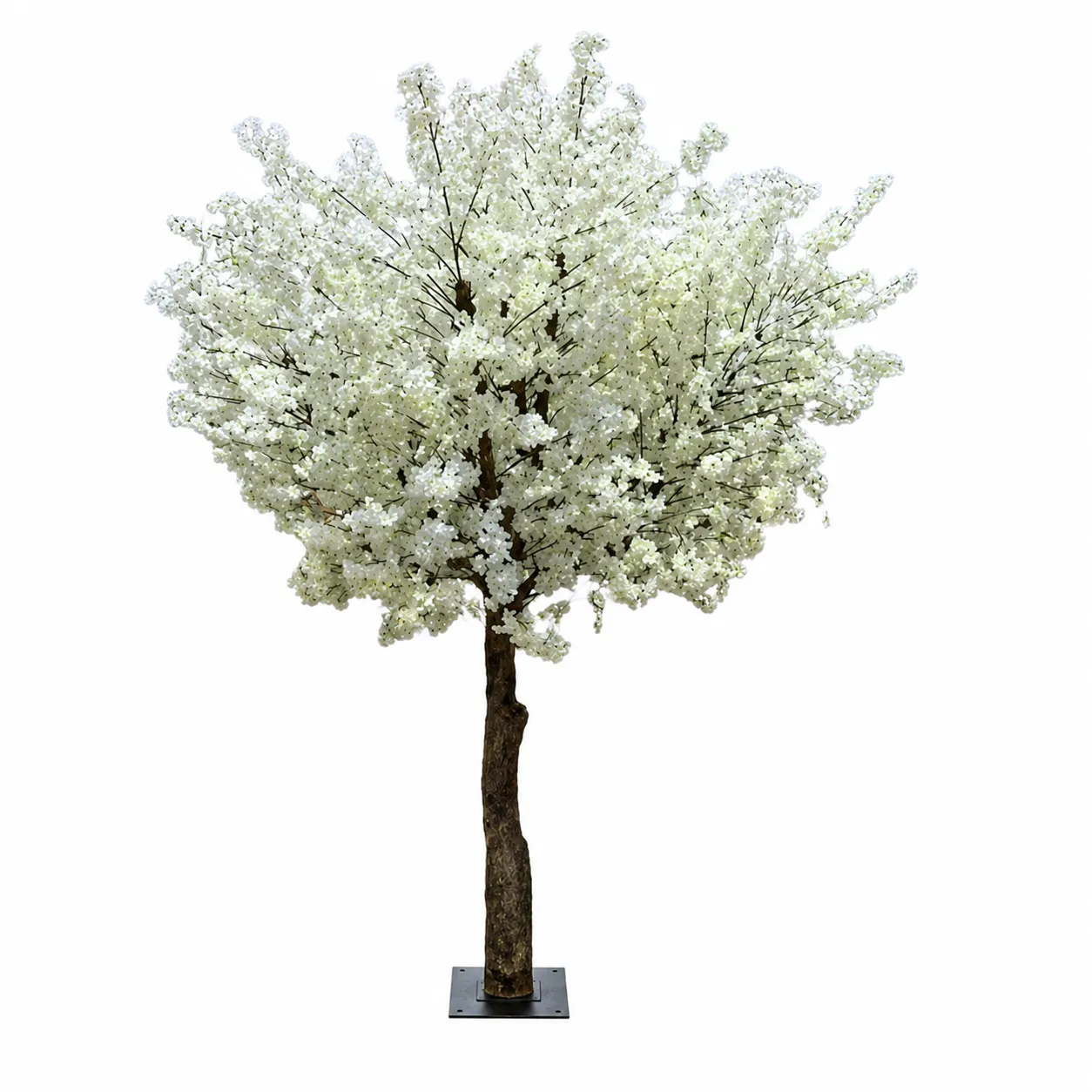 7' White Cherry Blossom Tree *