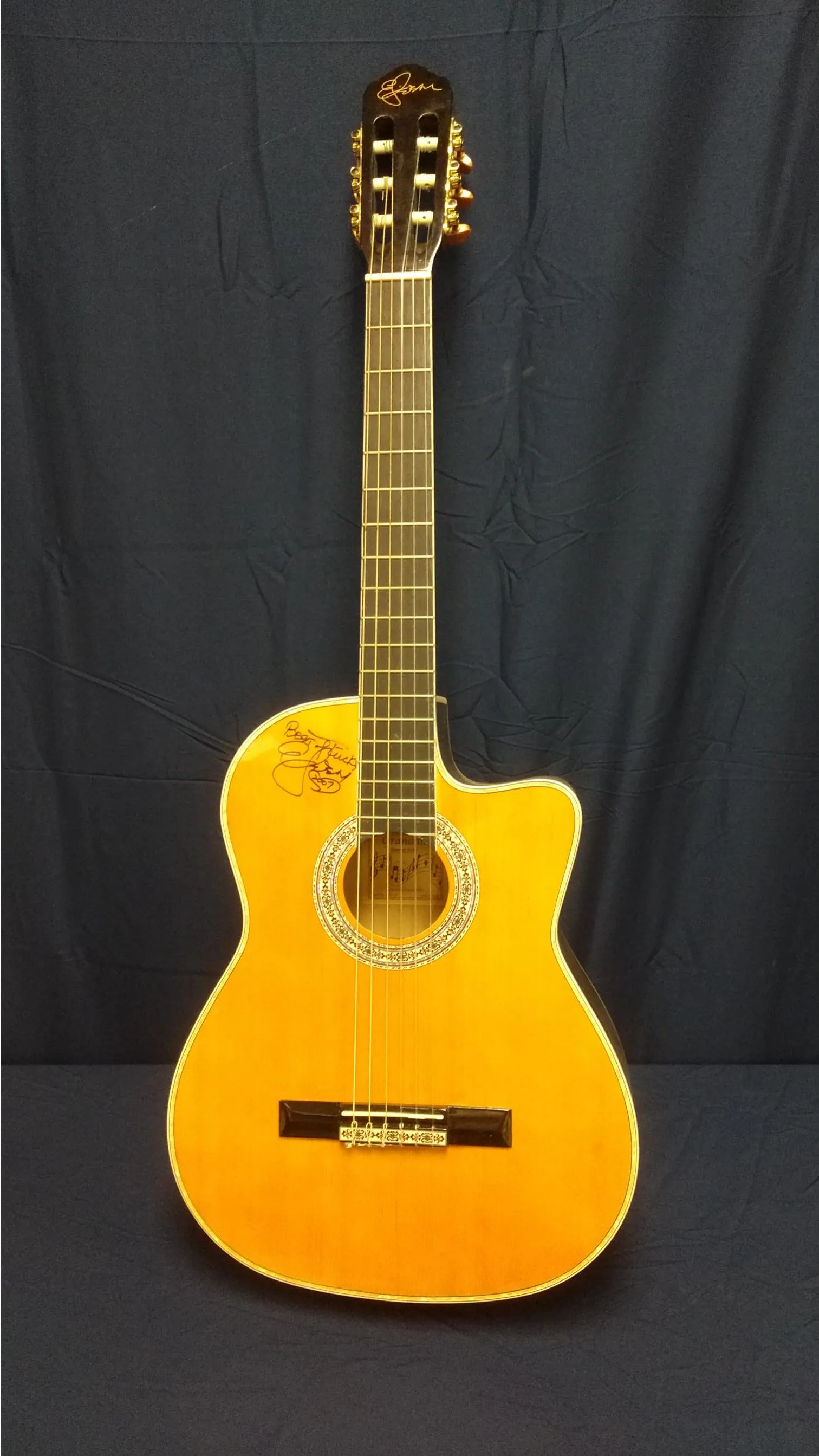 Guitar Acoustic with Soft Case Autographed