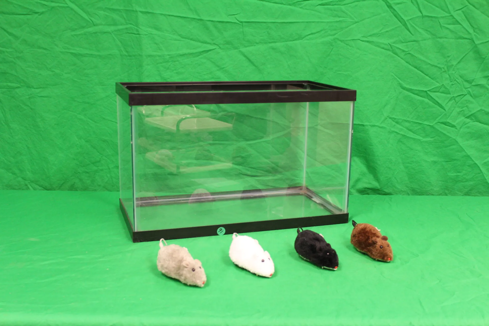 Aquarium