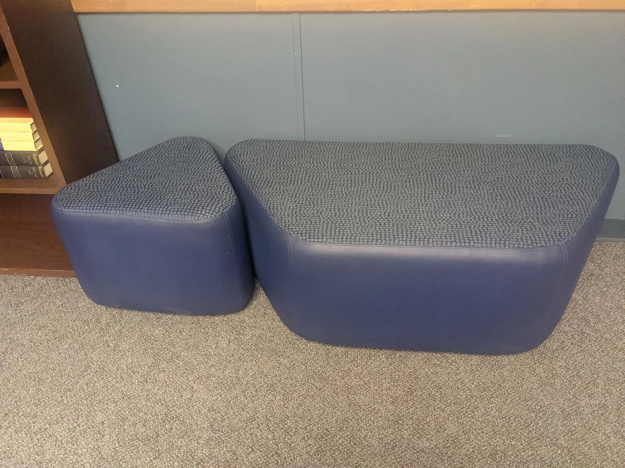 Seat Cushions Blue Modern Executive Room