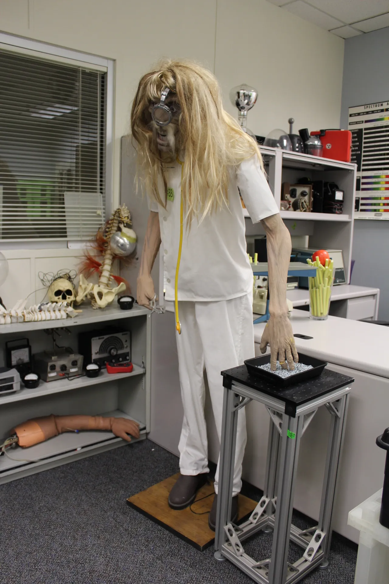 Doctor Traub