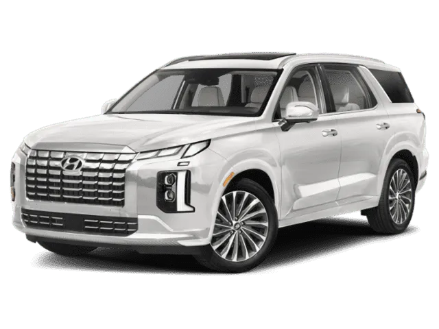 HYUNDAI PALISADE BLUE