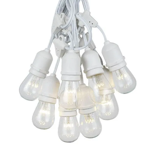 Festoon Lights White