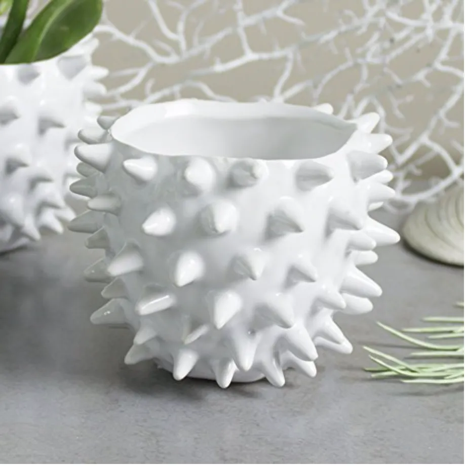 Sea Urchin Vase