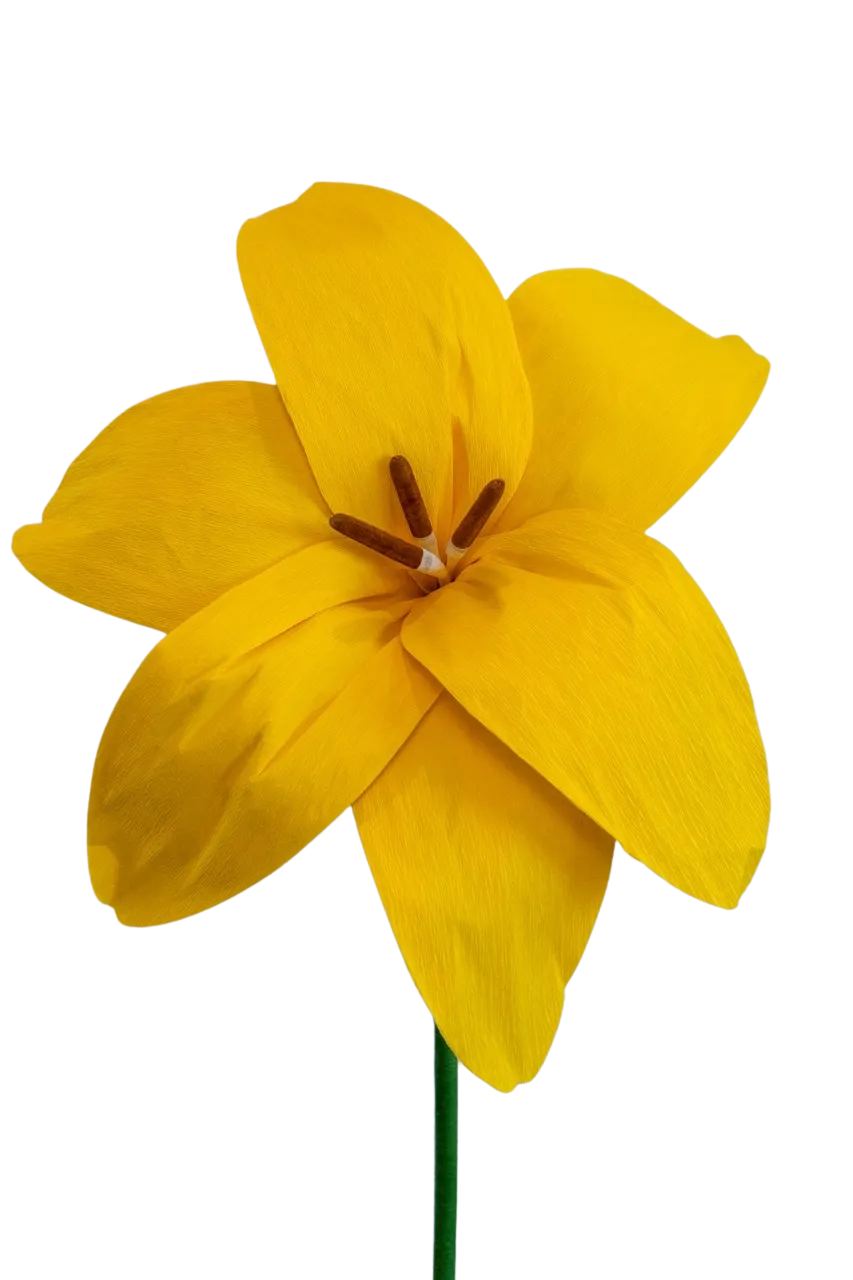Yellow Lily