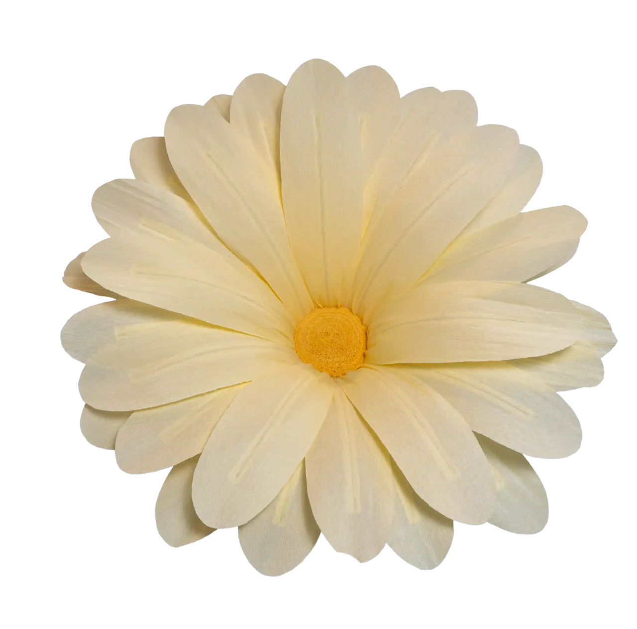Extra Large Ultra Light Yellow Daisy
