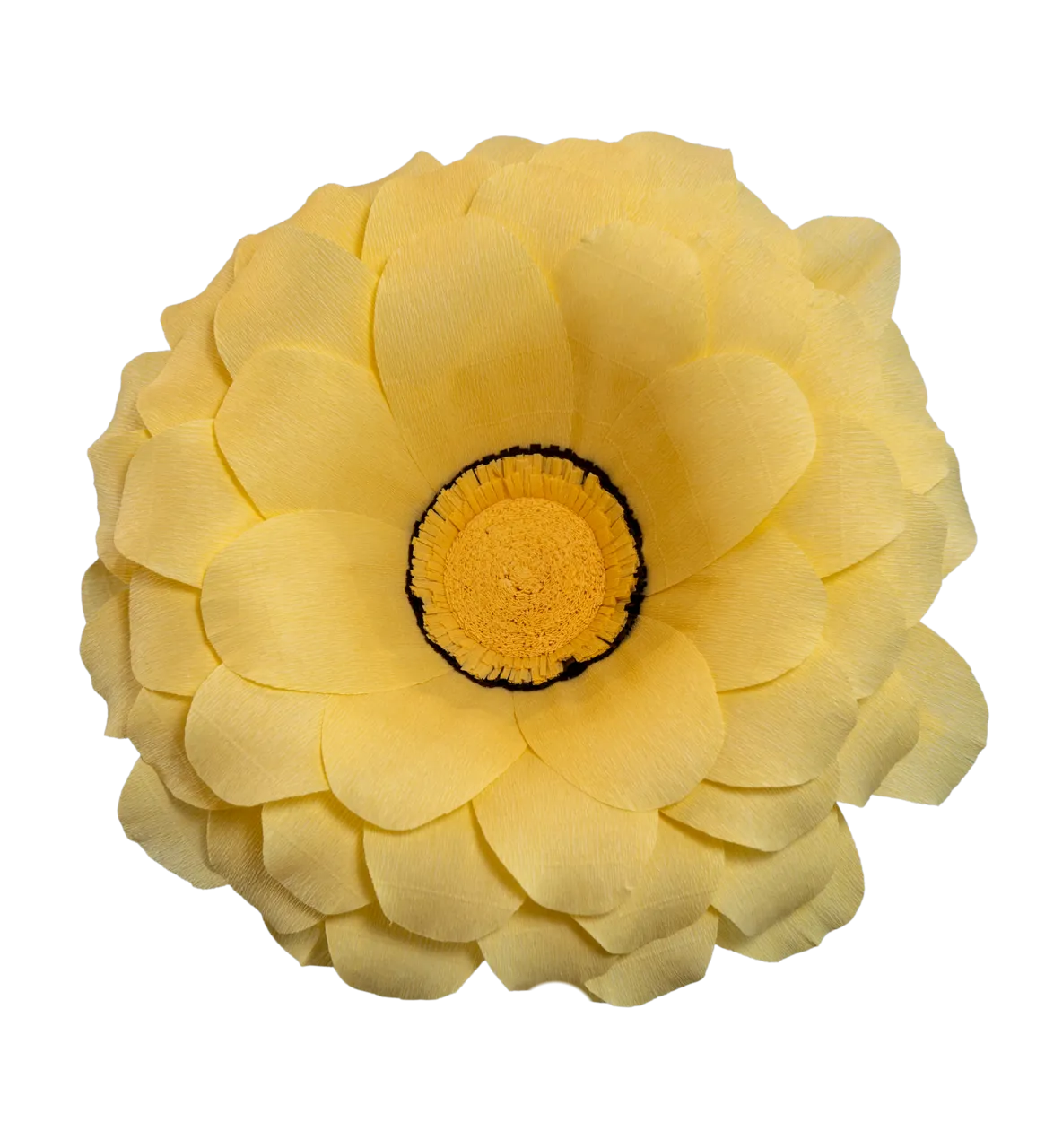 Yellow Zinnia