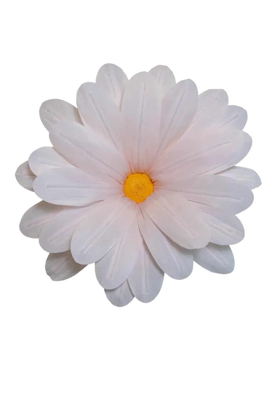 Pastel Light Pink Daisy