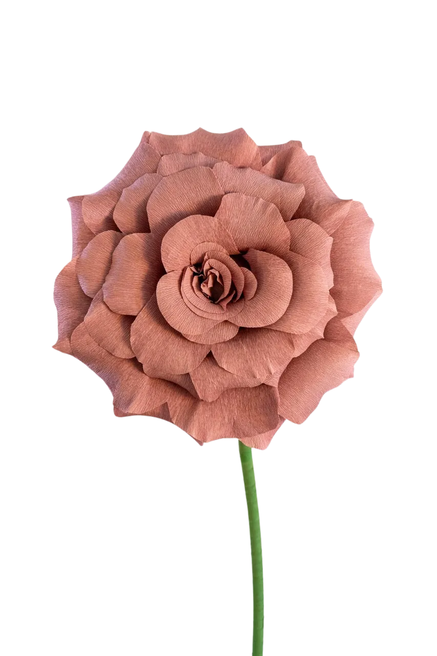 Medium Dusty Pink Rose 